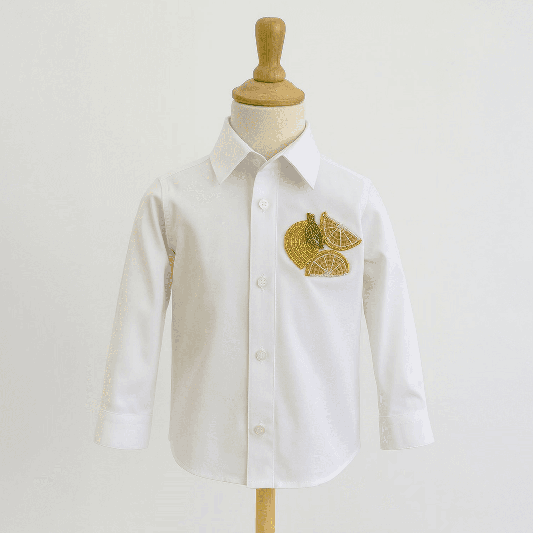 Boys Graphic Embroidery Shirt